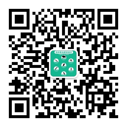 深圳消殺公司聯系方式 深圳消殺公司聯系方式