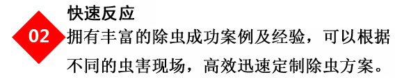 專業滅鼠公司的殺蟲滅鼠技術人員提供快速消服務殺服務 專業滅鼠公司的殺蟲滅鼠技術人員提供快速消服務殺服務